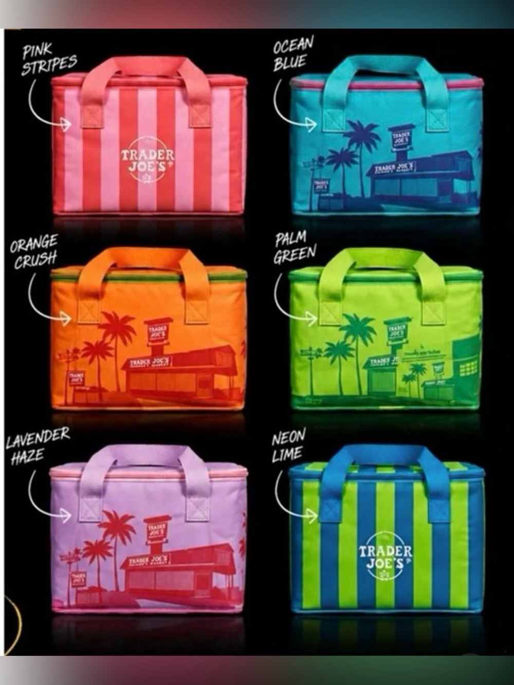 Trader Joe’s Mini Insulated Summer Lunch Bags
MULTIPLE COLORS AVAILABLE - Picture 1 of 8